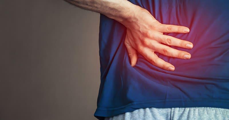 In Lower Back Pain, What Is The Purpose?